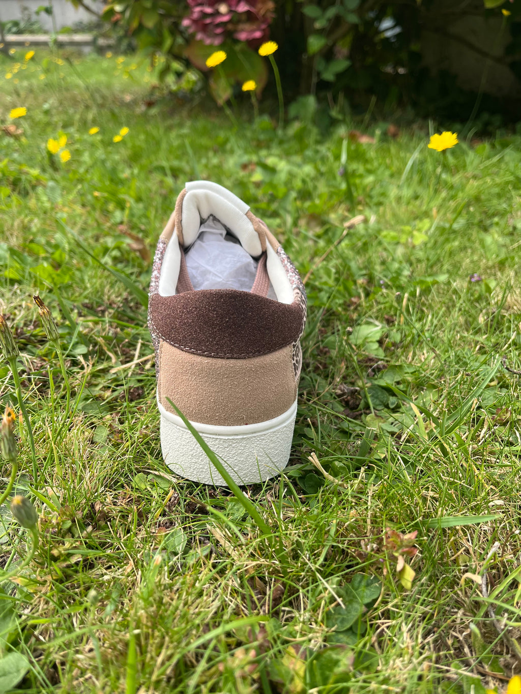 Baskets étoile champagne